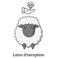 laine d'exception